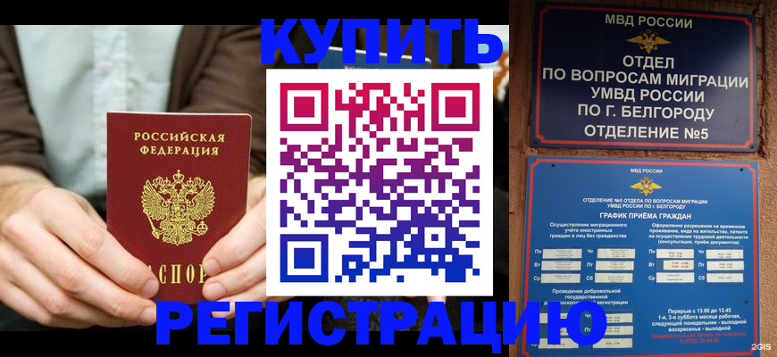 прописка 2025 в Новоузенске